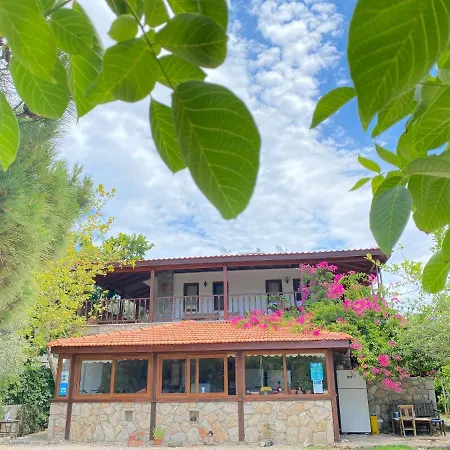 Apart Otel Belfin Ovabuekue Döşeme