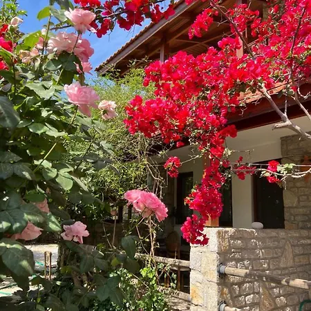 Belfin Ovabuekue Apart Otel