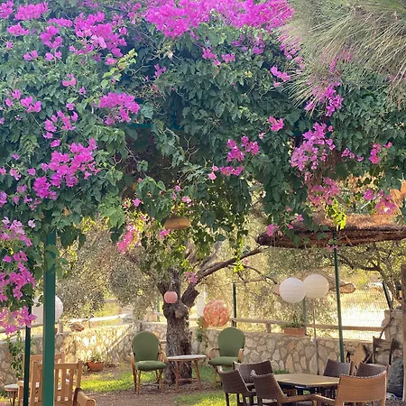 Appart hôtel Belfin Pansiyon Ovabuekue