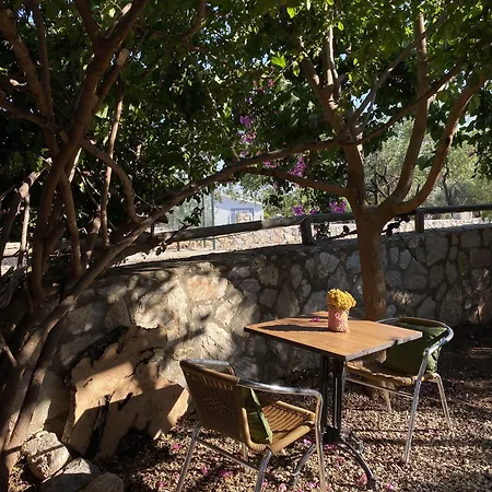 Belfin Pansiyon Ovabuekue Apartmanhotel Döşeme