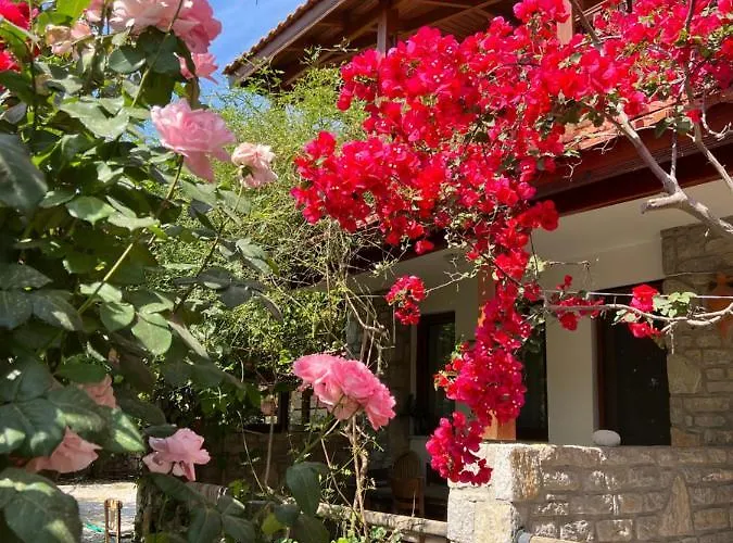Belfin Pansiyon Ovabuekue Hotel apartamentowy