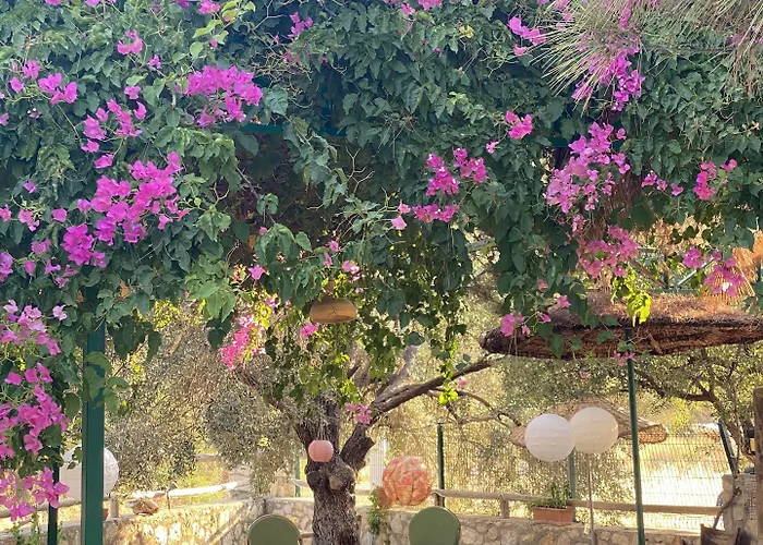 Hotel apartamentowy Belfin Pansiyon Ovabuekue